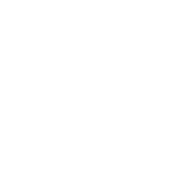 logo blanc révélation salsa